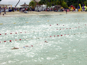 The swimmers had spaced out nicely by the halfway point, which made it a lot easier to keep a proper rhythmic stroke going. The sun decided to put in an appearance towards the beginning of the race, so there was a lot of glare.